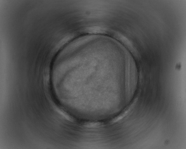 X0000101120202200807172008