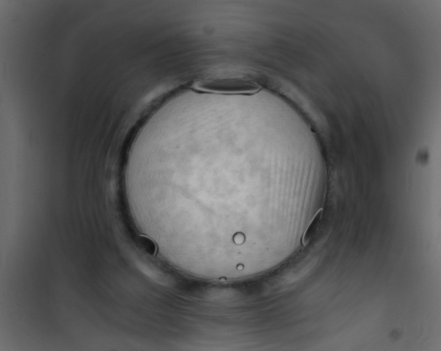 X0000101120203200807172008