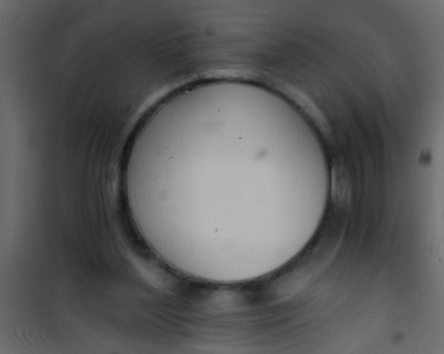X0000101120204200807172008