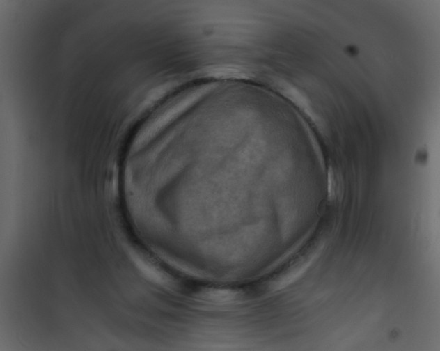 X0000101120205200807172008
