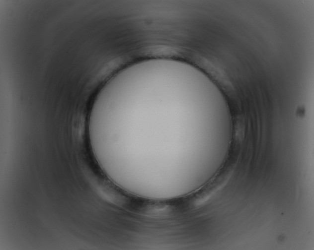X0000101120206200807172008