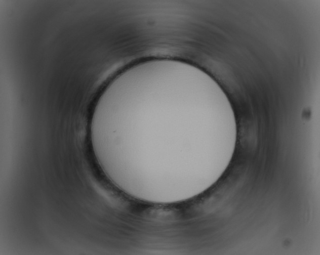 X0000101120208200807172008