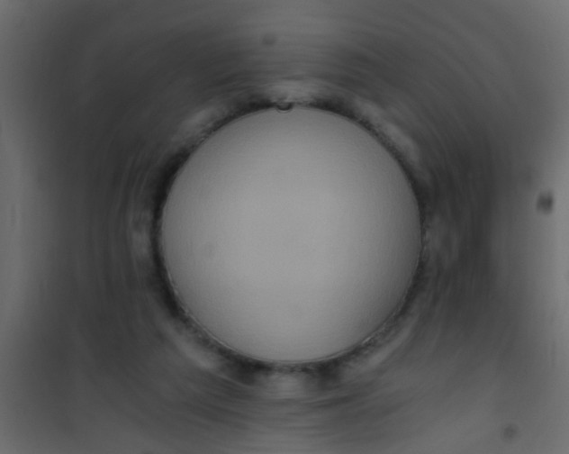 X0000101120209200807172008