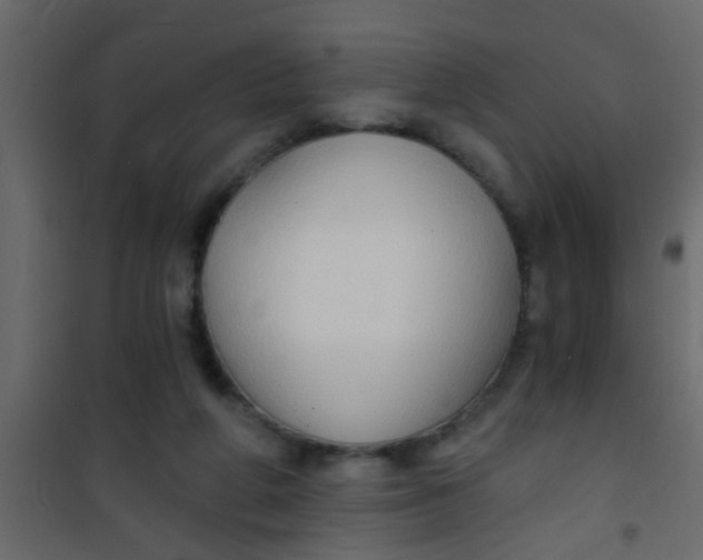 X0000101120210200807172008