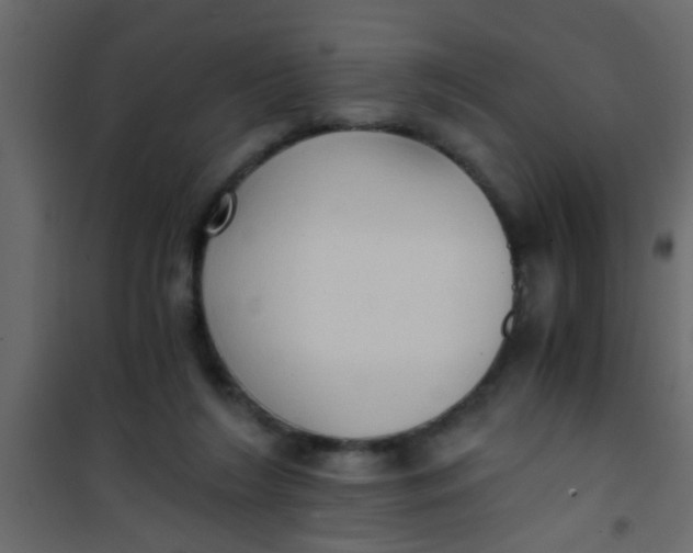 X0000101120212200807172008