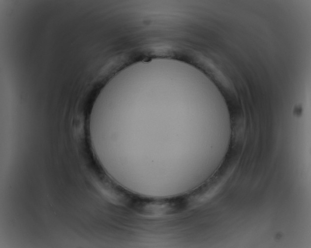 X0000101120213200807172008