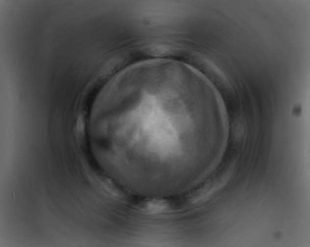 X0000101120214200807172008