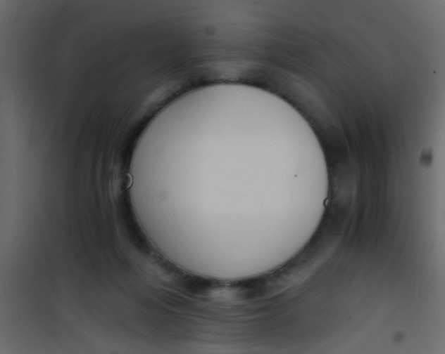 X0000101120216200807172008