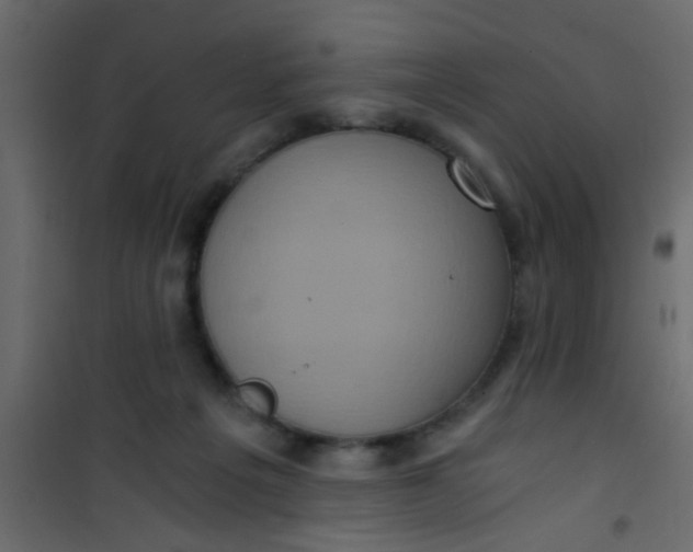 X0000101120217200807172008