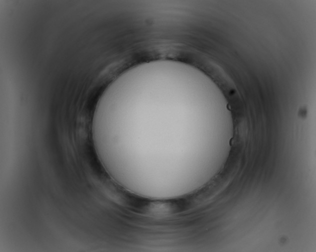 X0000101120218200807172008