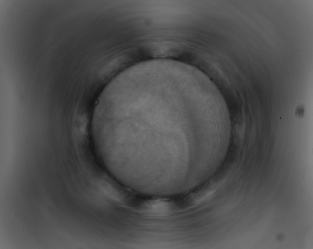 X0000101120219200807172008