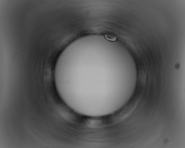 X0000101120220200807172008