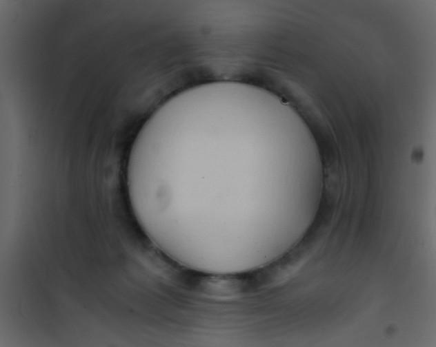 X0000101120221200807172008