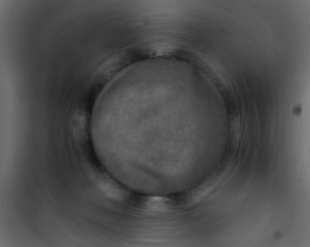 X0000101120222200807172008