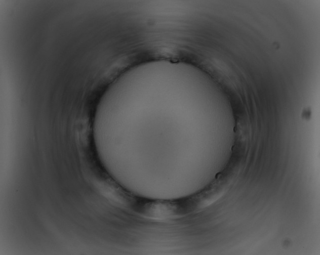 X0000101120223200807172008