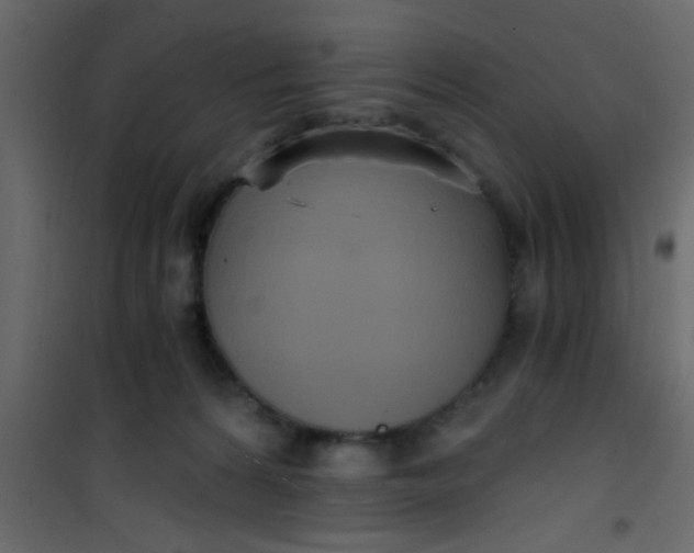 X0000101120224200807172007