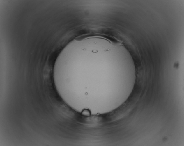 X0000101120225200807172007