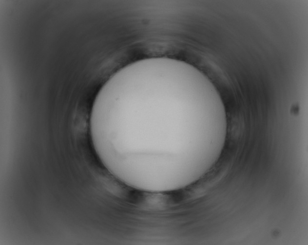 X0000101120226200807172007