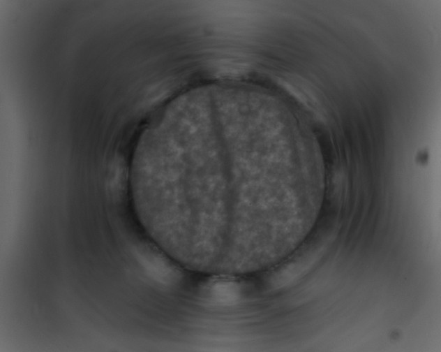 X0000101120228200807172007