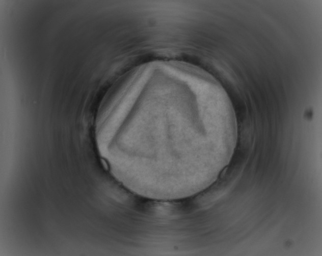 X0000101120229200807172007
