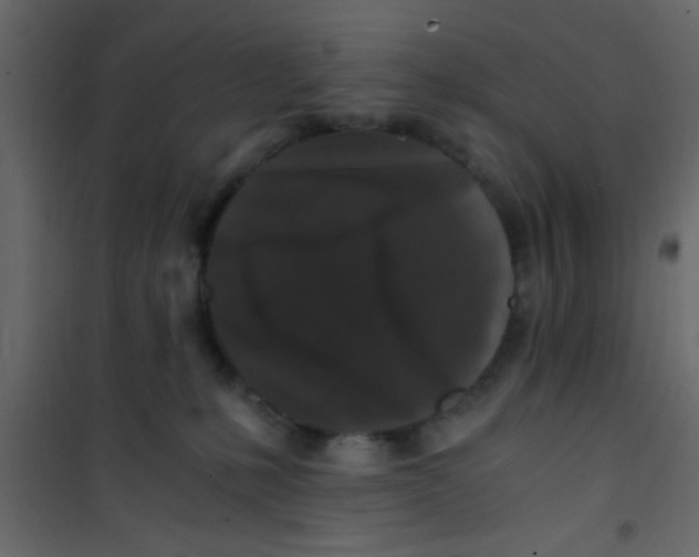 X0000101120231200807172007