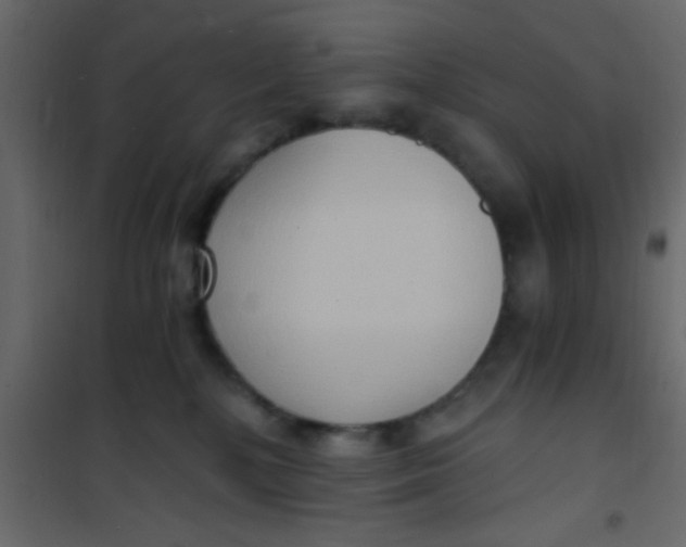 X0000101120232200807172007