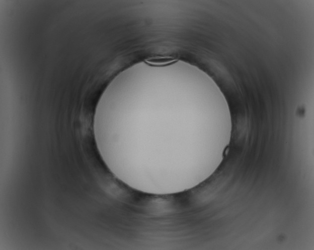 X0000101120236200807172007