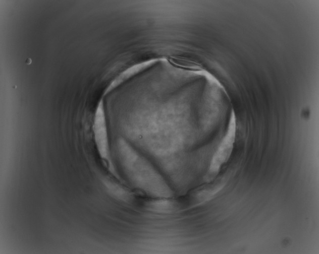 X0000101120237200807172007