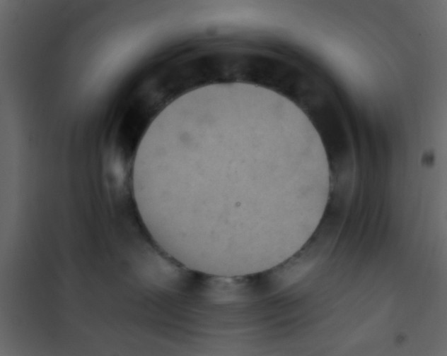 X0000101120239200807172007
