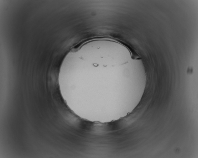 X0000101120240200807172007
