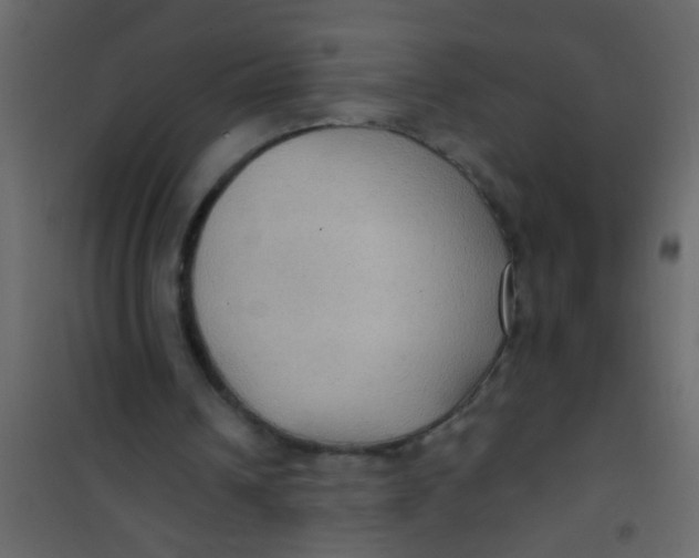 X0000101120242200807172007