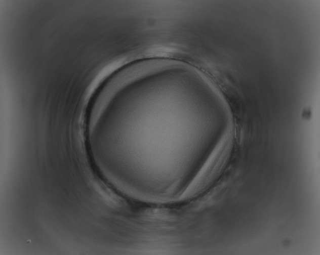 X0000101120244200807172007