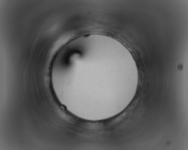 X0000101120245200807172007