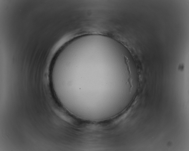 X0000101120246200807172007