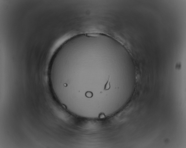 X0000101120248200807172007