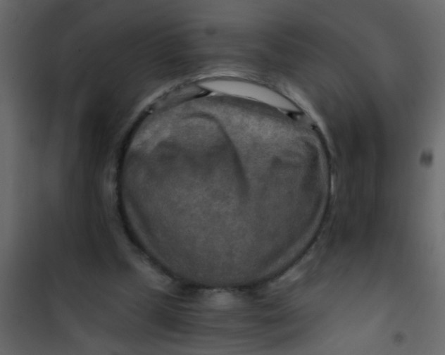X0000101120249200807172007
