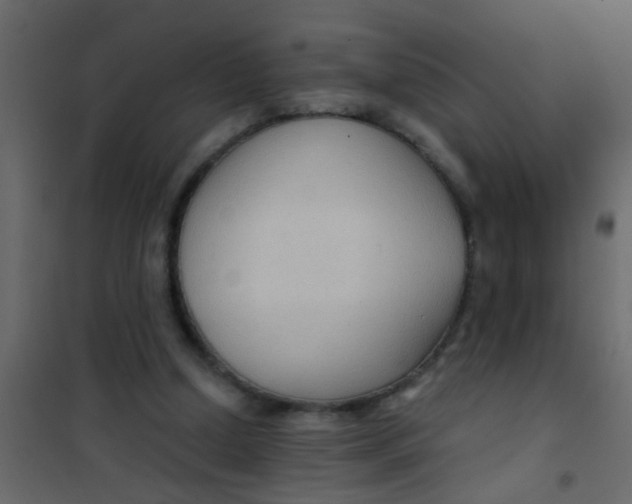 X0000101120250200807172007