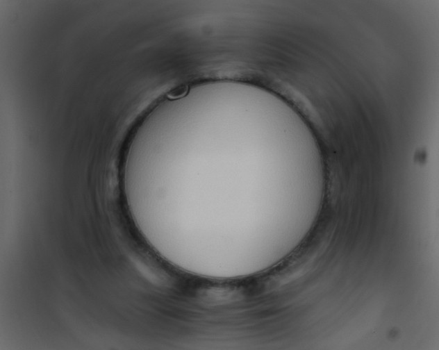 X0000101120251200807172007