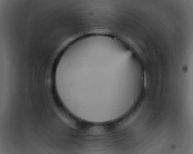 X0000101120252200807172007