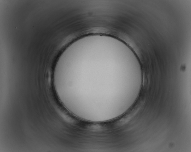 X0000101120253200807172007