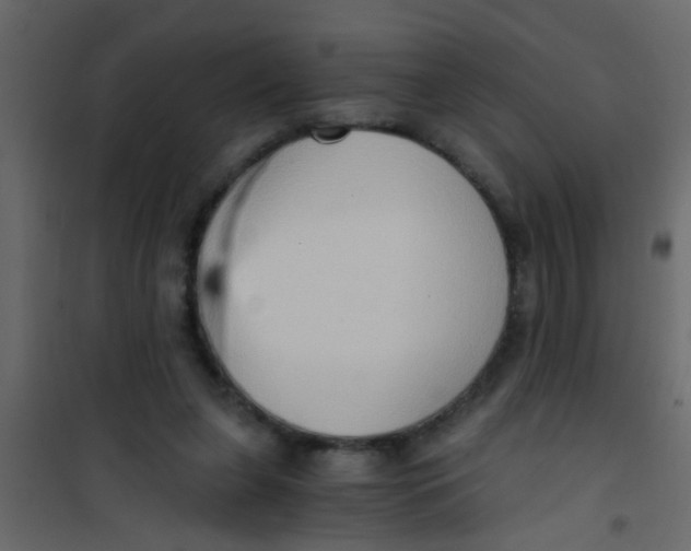 X0000101120255200807172007
