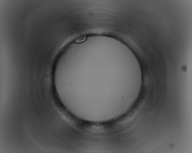 X0000101120256200807172007