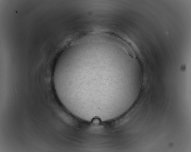 X0000101120257200807172007