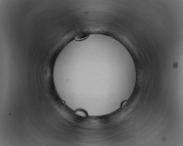 X0000101120260200807172007