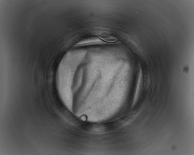 X0000101120263200807172007