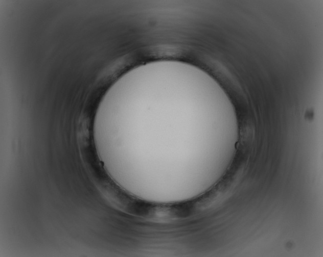 X0000101120264200807172007
