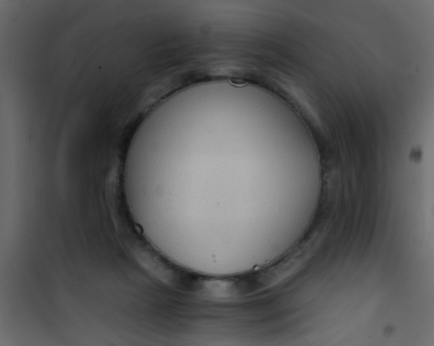X0000101120265200807172007