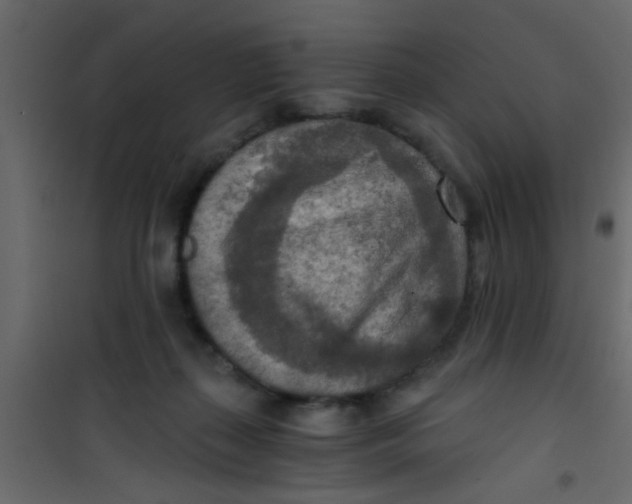 X0000101120267200807172007