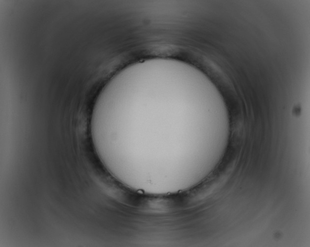 X0000101120268200807172007