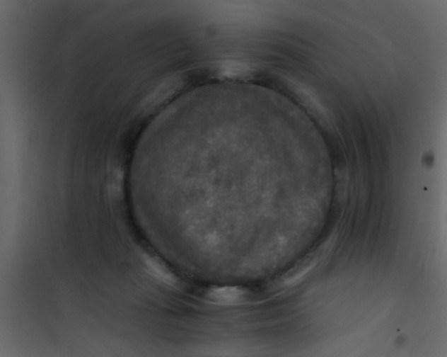 X0000101120269200807172007